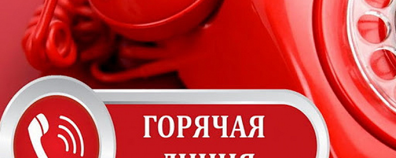 Внимание: "Горячая линия" в Гимназии